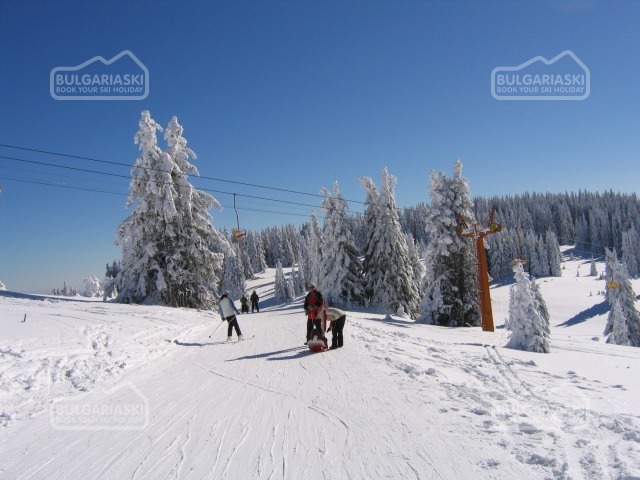 PAMPOROVO5