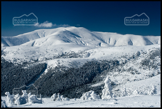 Osogovo Mountain1