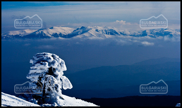 Osogovo Mountain3