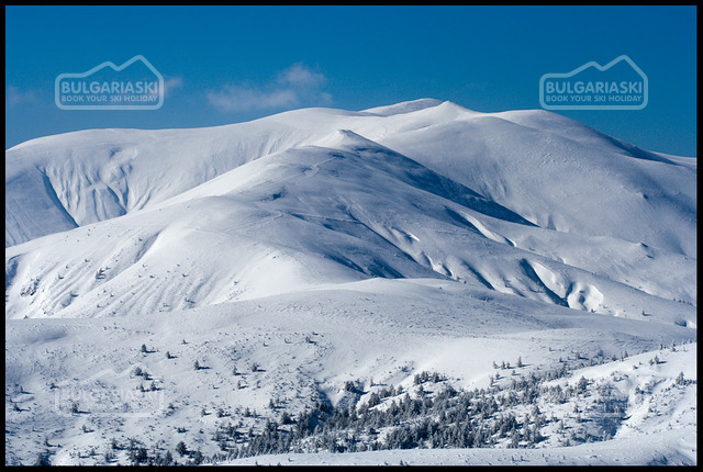 Osogovo Mountain4