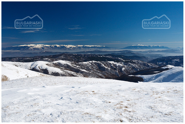 Osogovo Mountain5