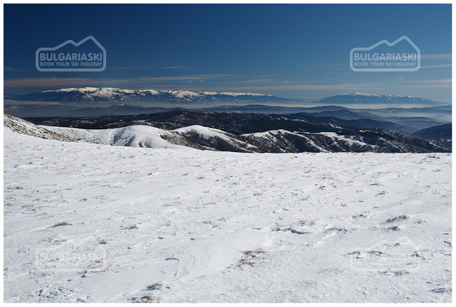 Osogovo Mountain10